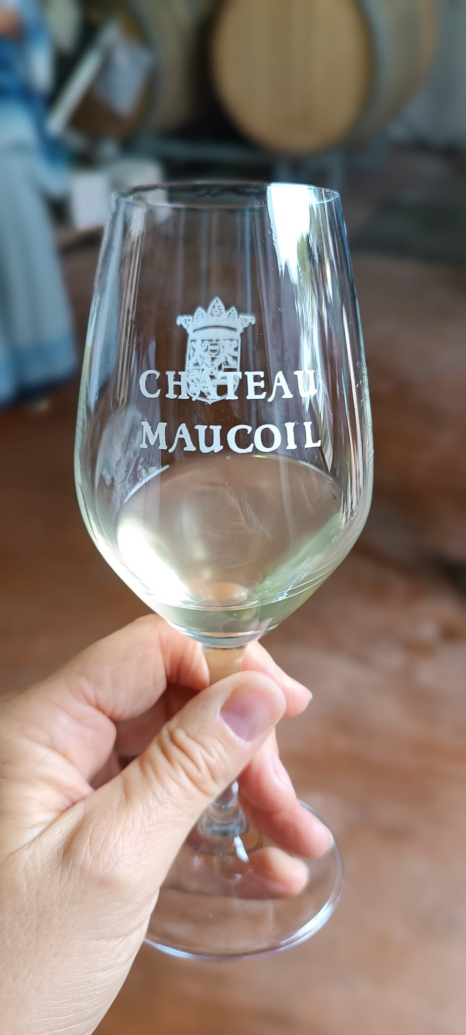 教皇新堡 (Chateauneuf du Pape) 品酒活動 來自艾克斯的阿維尼翁亮點