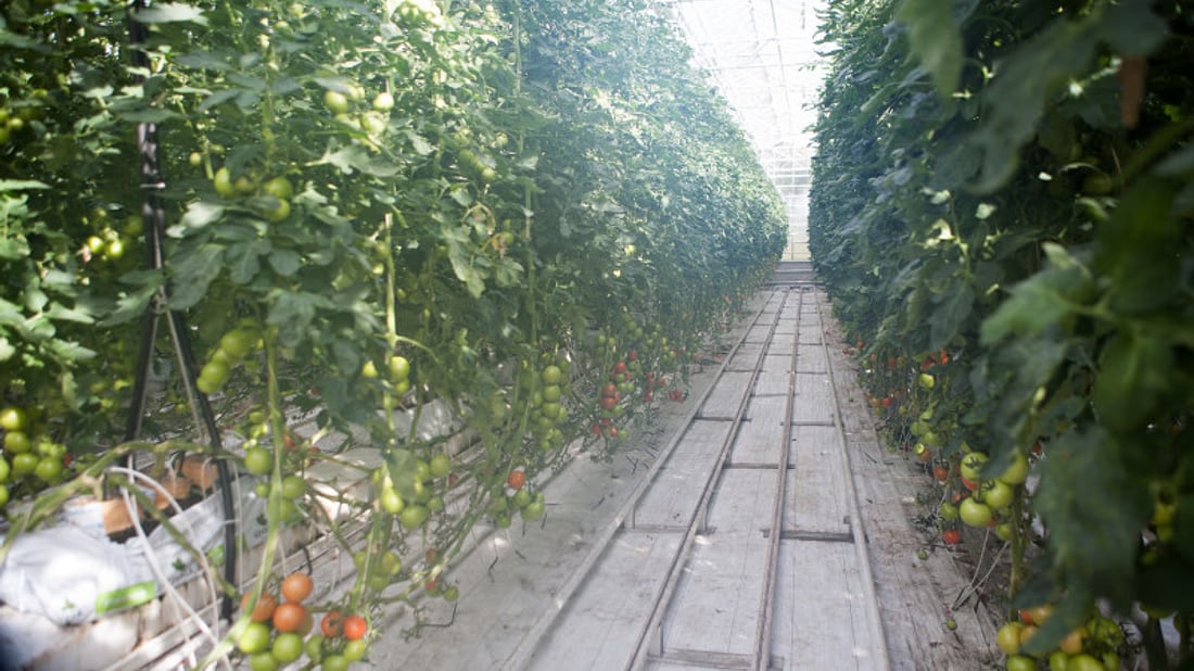 Iceland | Golden Circle Day Tour by Minibus