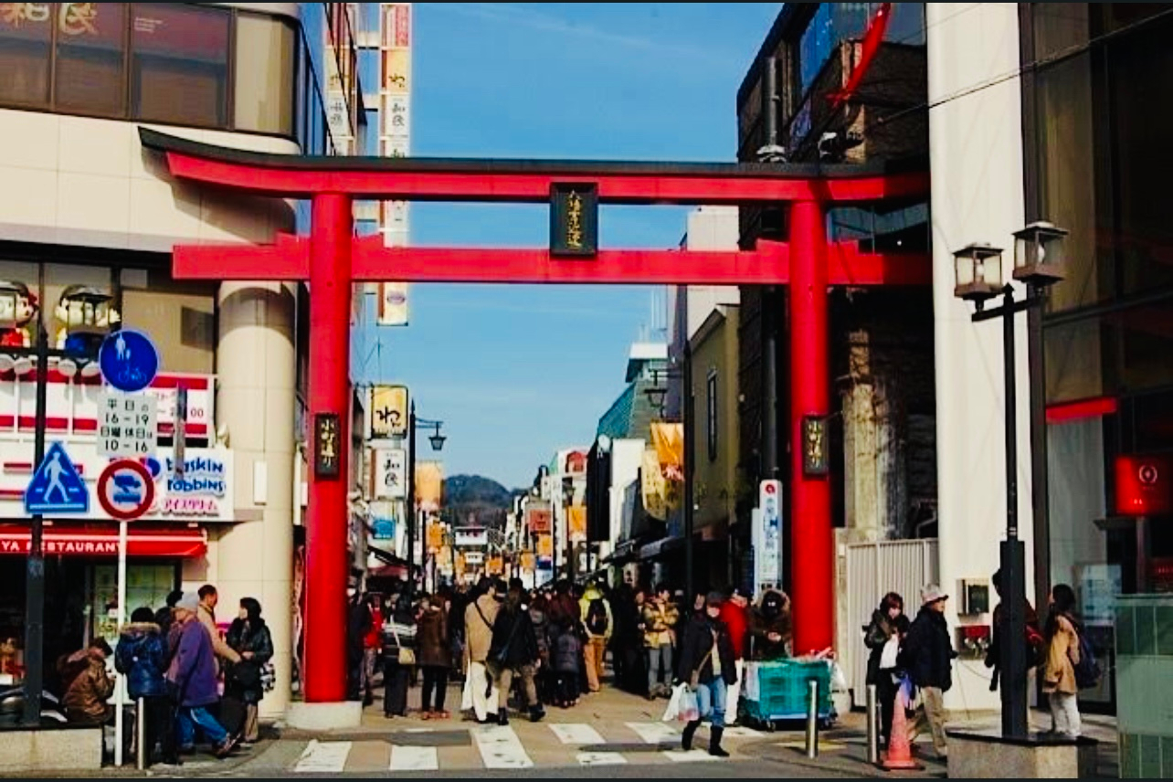 東京-鎌倉私人包車遊（提供英文司機服務）