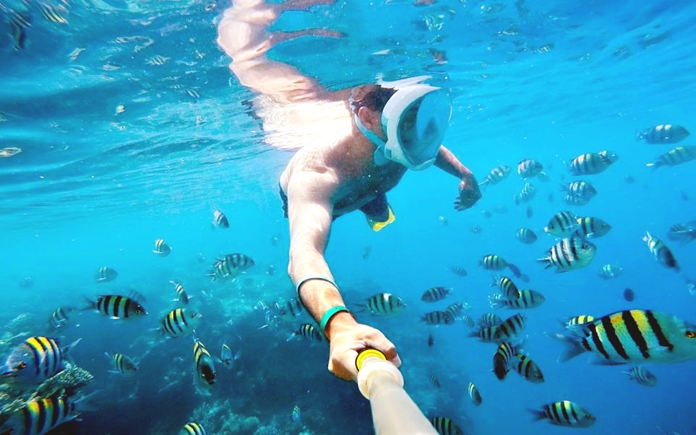 赫爾格達：私人快艇之旅3個浮潛點
