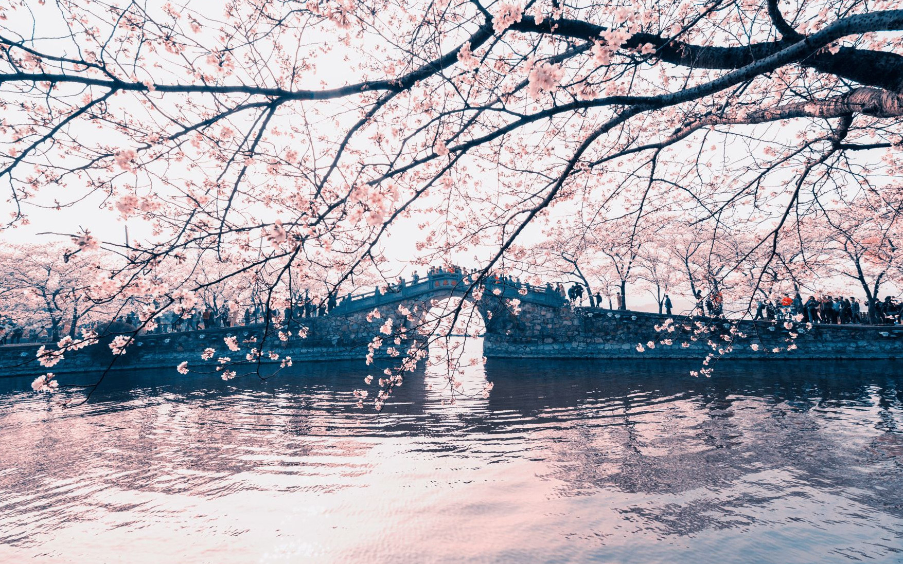 Private Day Tour from Shanghai to Lingshan Buddha & Yuantouzhu & Taihu Lake, Wuxi