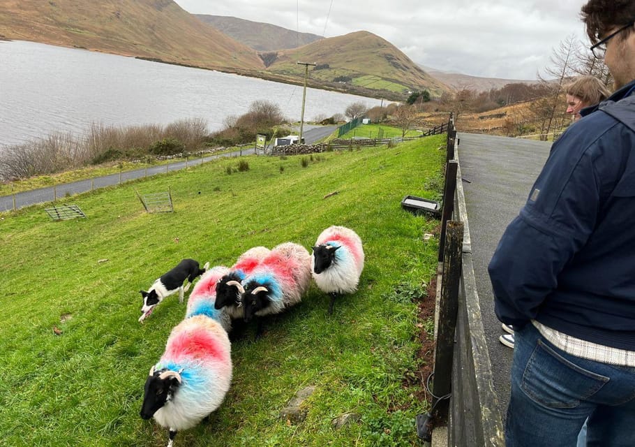 Kylemore Abbey & Connemara one-day tour from Galway