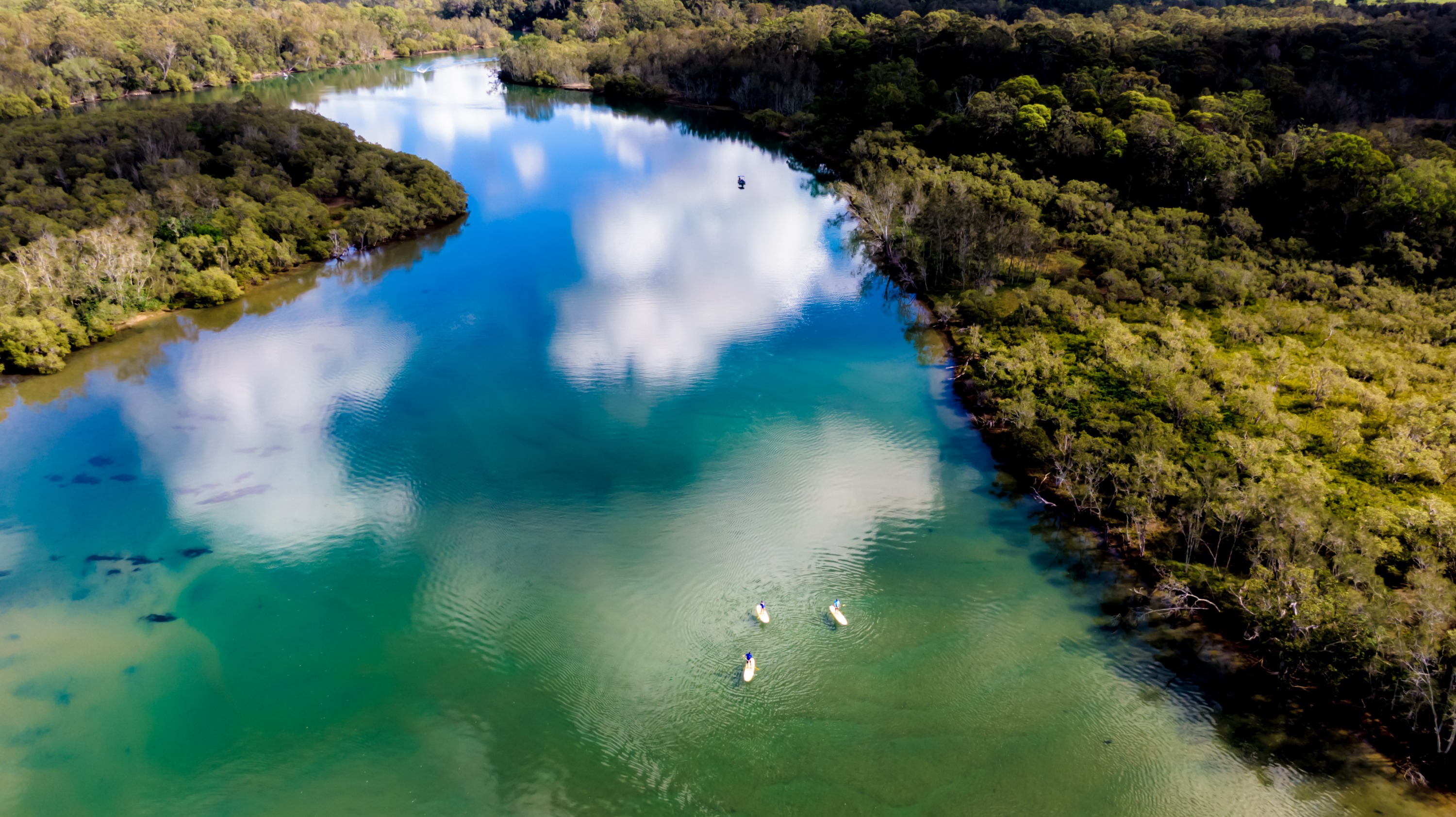 2.5 Hour Stand-Up Paddle Board Group Tour in Byron Bay