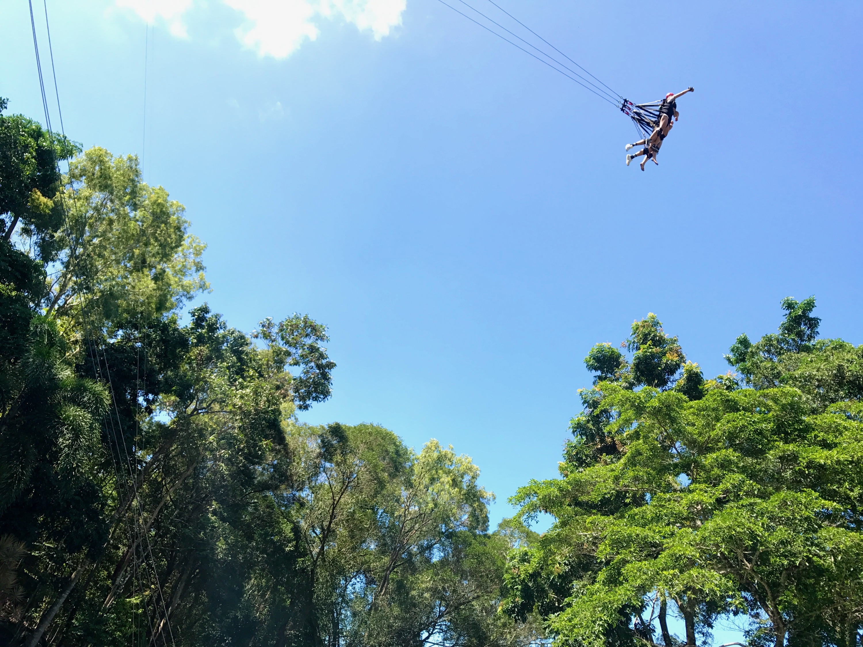 Drop from 45 feet to 1 meter in just 3.5 seconds on the incredible Giant Swing in Cairns