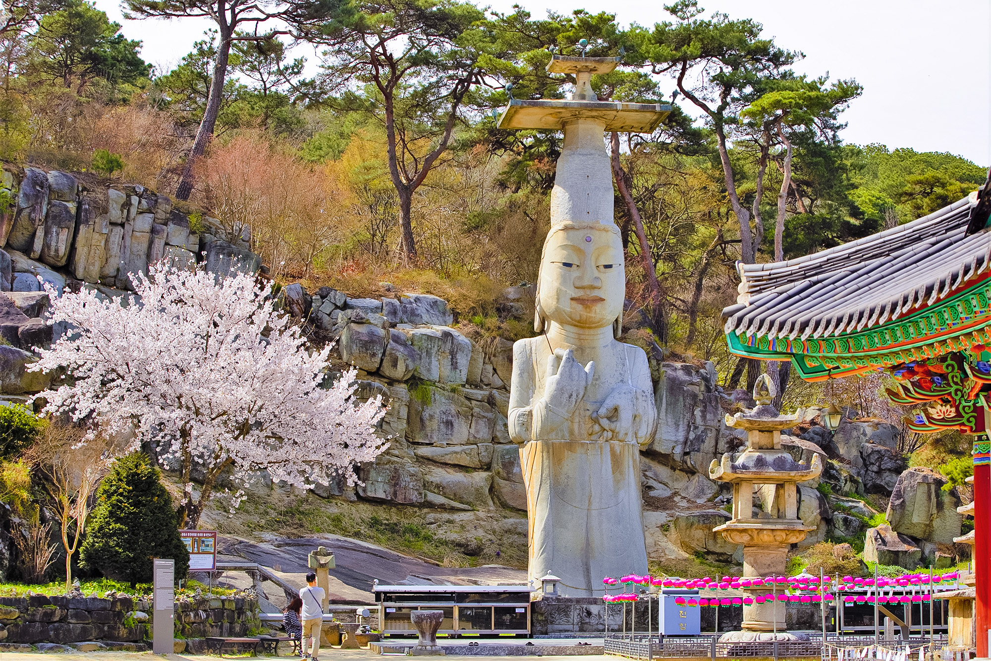 ⛩️ 這座寺廟讓遊客得以深入了解韓國的精神遺產。