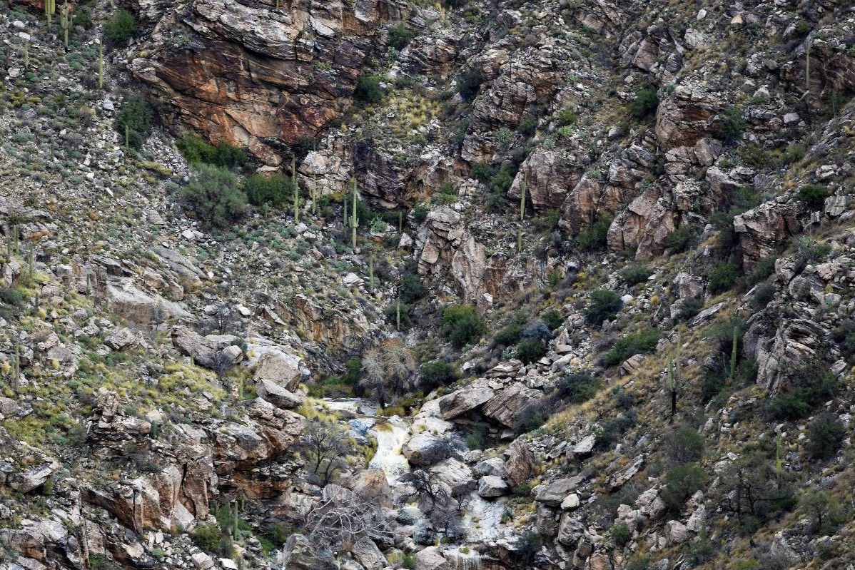Explore the beauty of Mt. Lemmon’s trails and overlooks from your vehicle