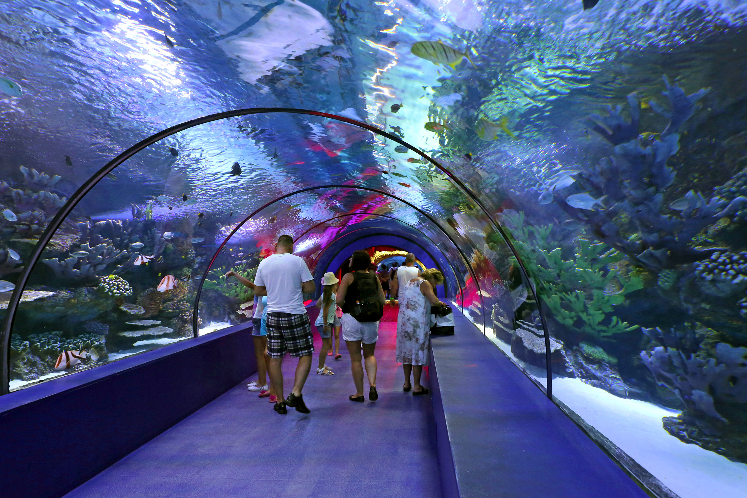 安塔利亞水族館和蠟像館門票
