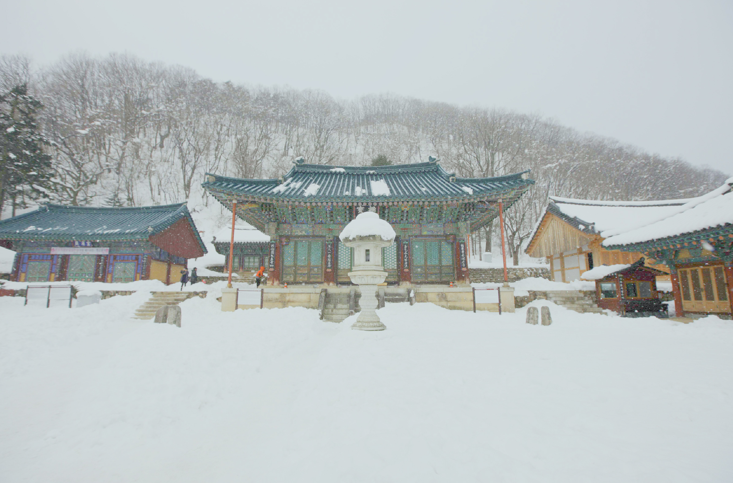 首爾雪嶽山 & Surfy海灘一日遊