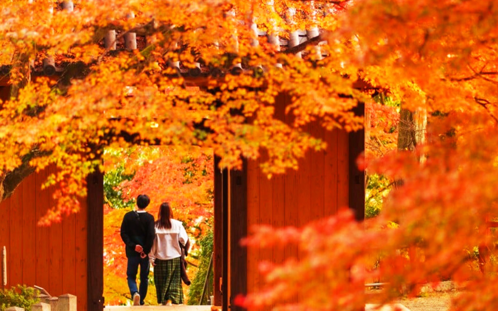 Saga: D興善寺 & Kyunenan & Yoshinogari Station & Mifuneyama Rakuen & Yūtoku Inari Shrine Maple Viewing Day Trip