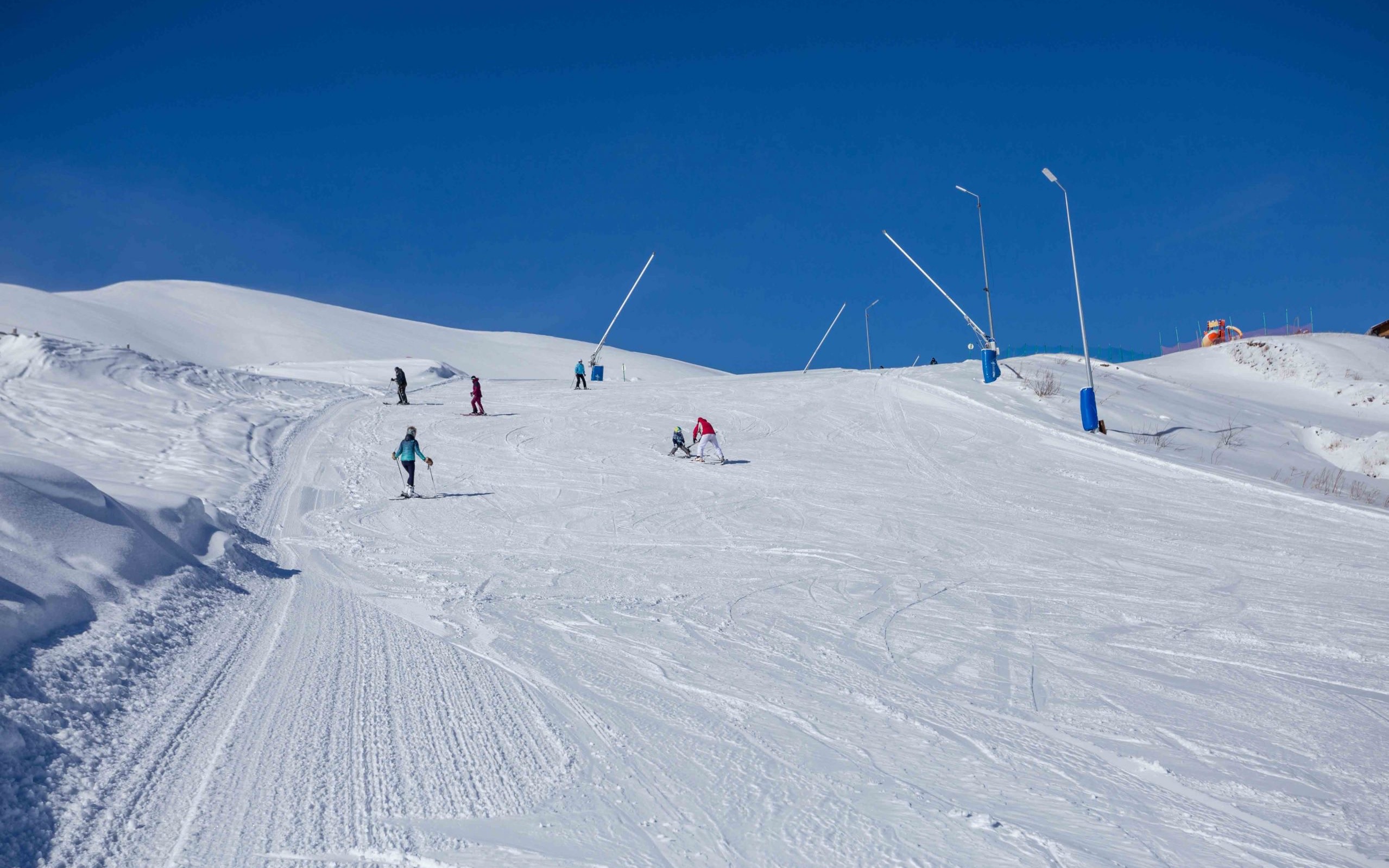 Tbilisi Bakuriani & Borjomi Full-Day Mountain & Ski Tour