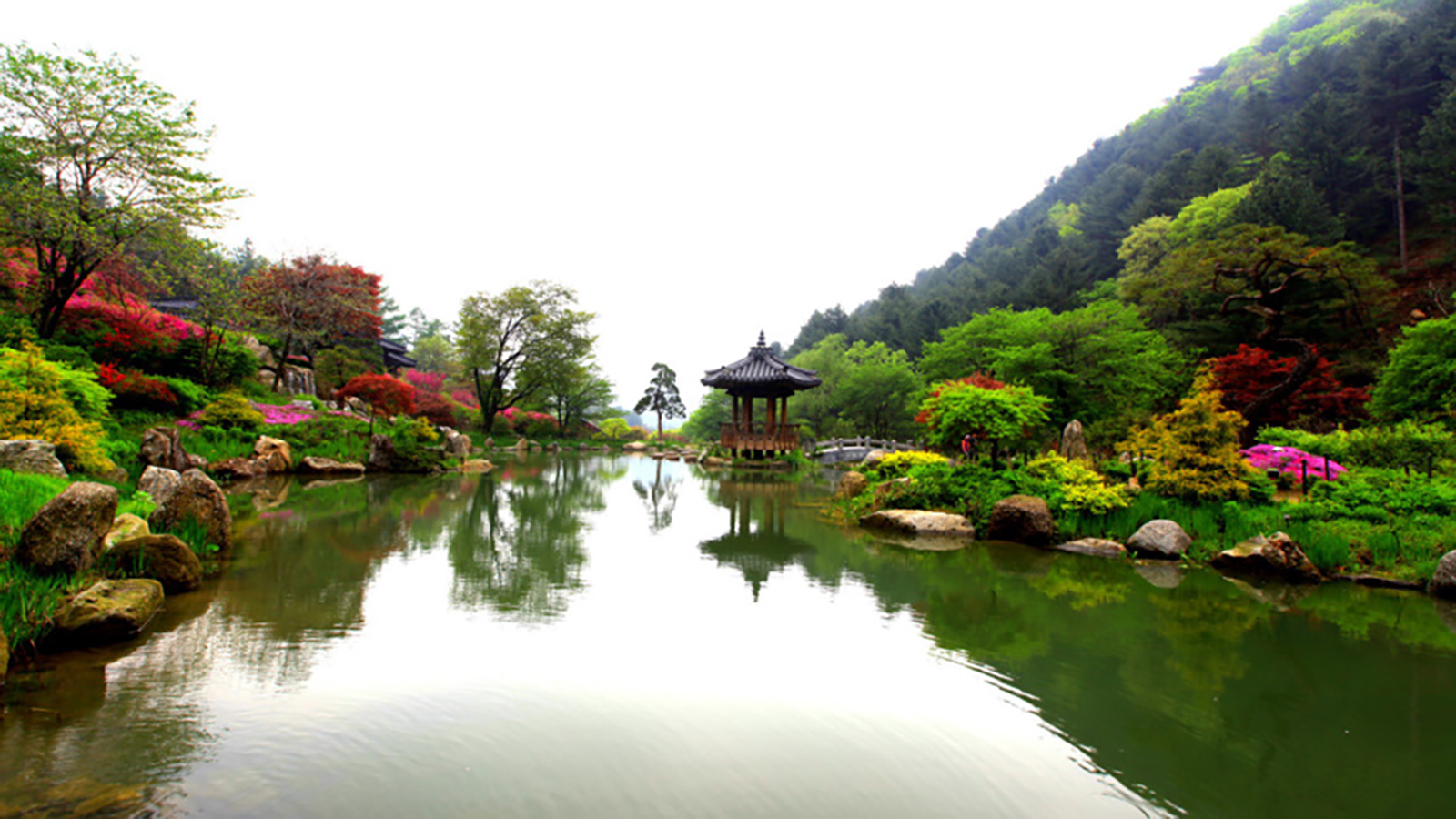 羊駝樂園 & 樂高樂園 & 南怡島 & 鐵路自行車 & 晨靜樹木園一日遊