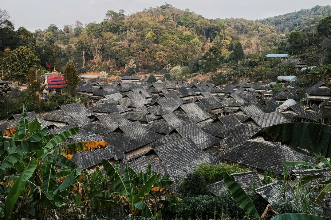 雲南版納往事6日（告莊夜市+傣族園+景邁山+中科院植物園+雨林徒步+野象谷+糯幹翁基古寨）