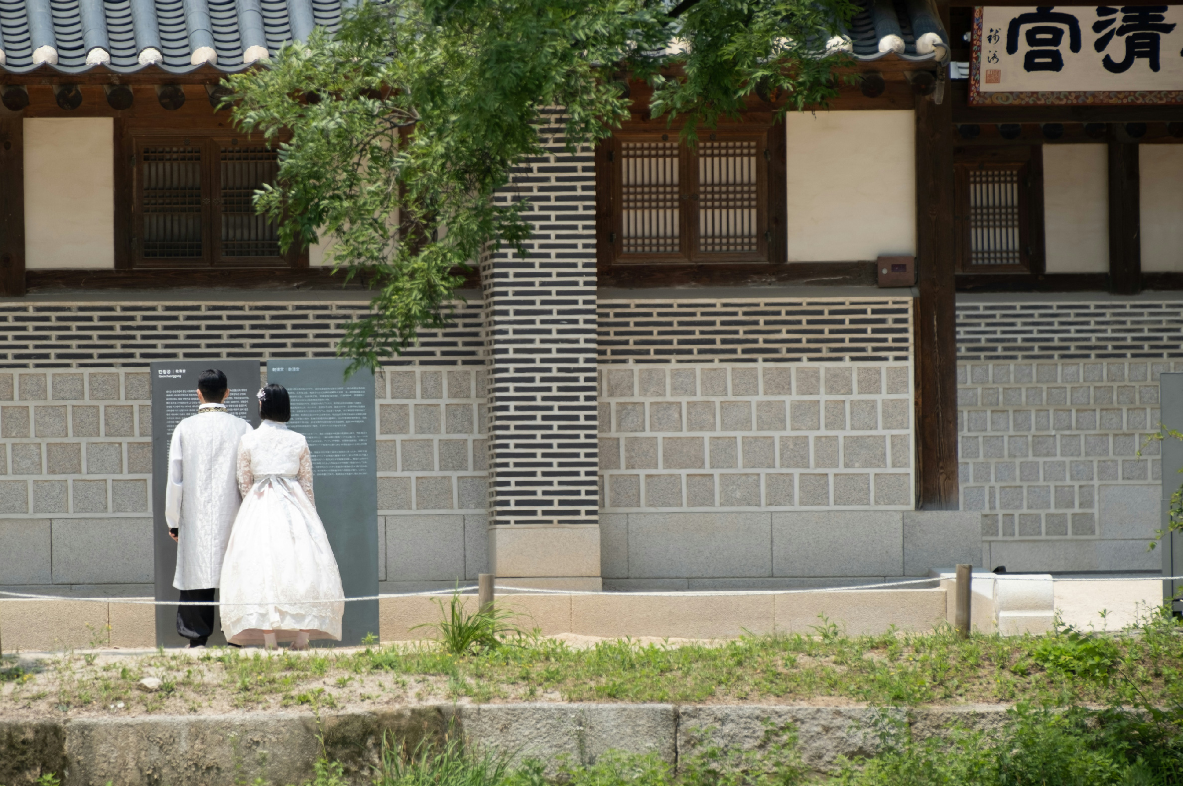 全州韓屋村＆季節性熱門景點一日遊