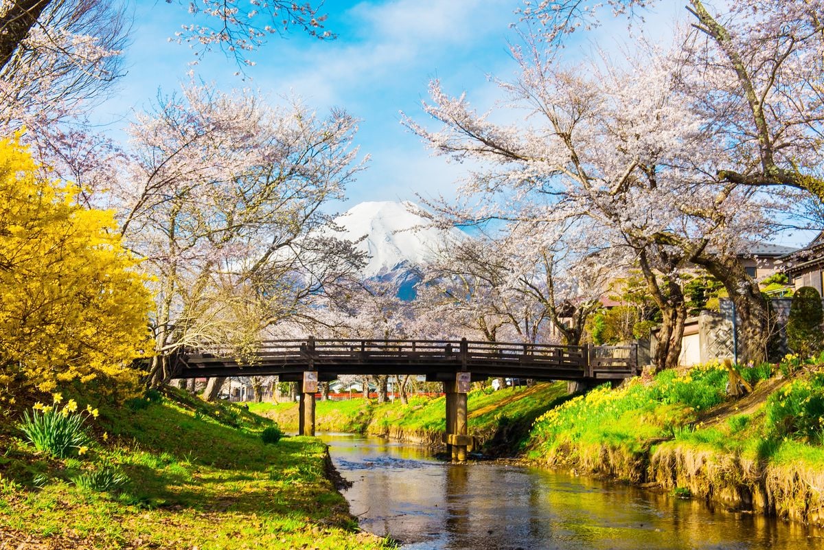 富士山賞花熱門打卡一日遊｜五合目&忍野八海&新倉山公園&日川時計店&河口湖大石公園&御殿場奧特萊斯（多線路可選）