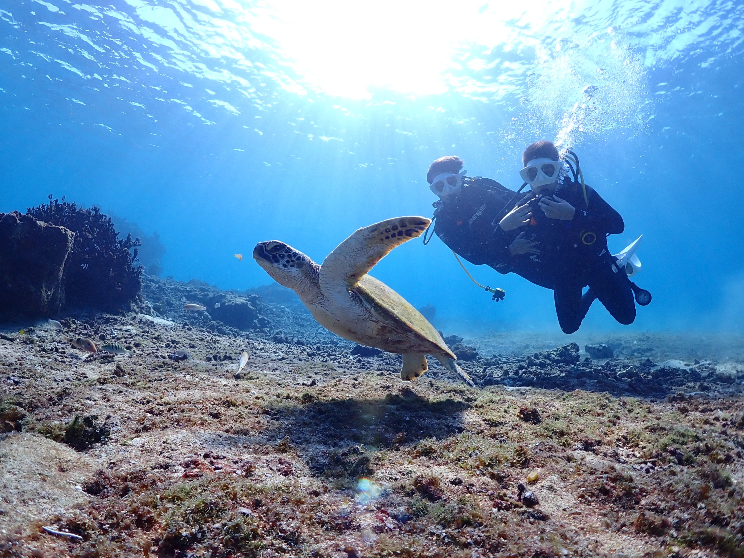 沖繩浮潛 & 私人海灘潛水體驗
