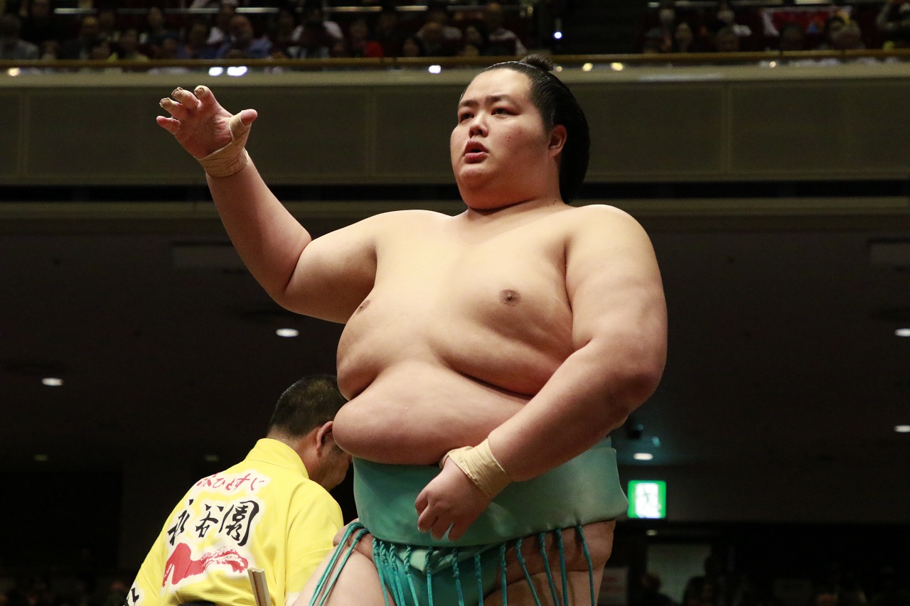 東京大相撲錦標賽觀賽體驗