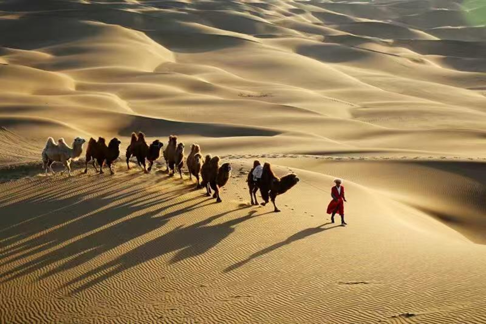 Xinjiang Urumqi-Turpan High-Speed Train Round Trip One-Day Tour