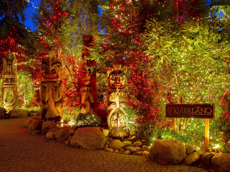 漂浮在卡皮拉諾發光的森林中