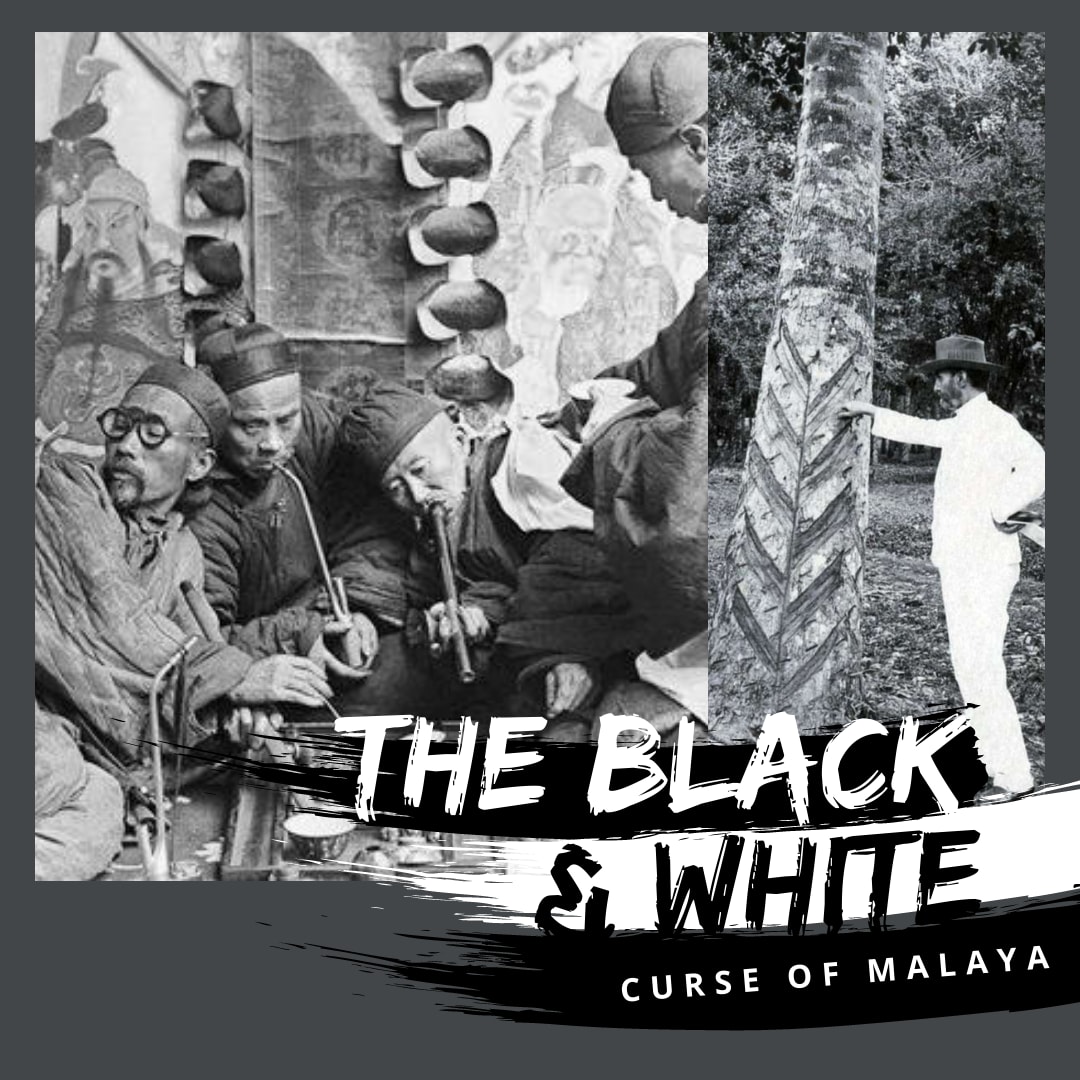 新加坡馬來亞的黑白詛咒：橡膠＆鴉片