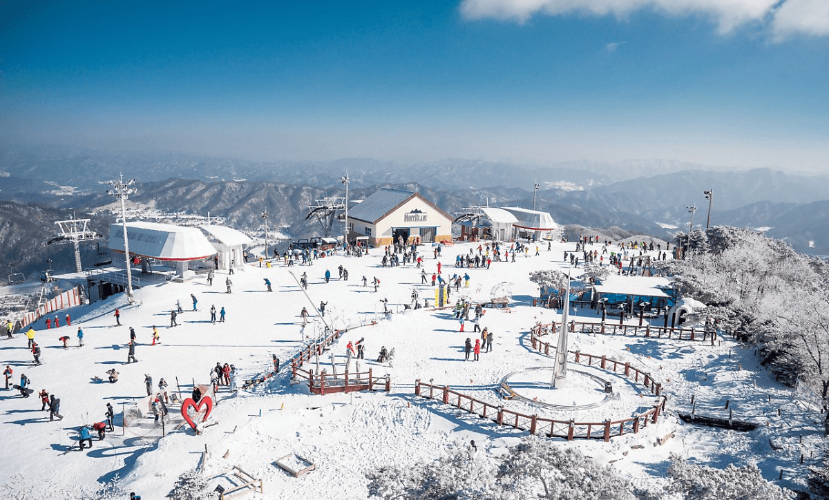 Easily reach Yongpyong, O2, High One, Phoenix, Alpensia and other popular ski resorts