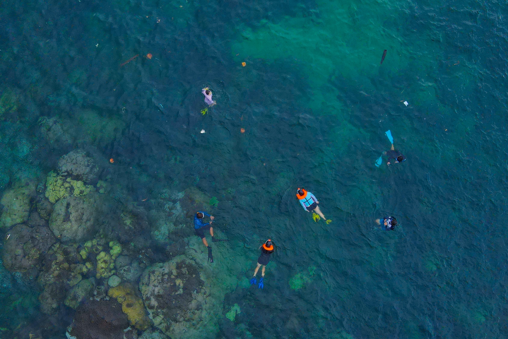 乘坐鸚鵡螺號遊艇體驗海上運動和3島獨木舟之旅