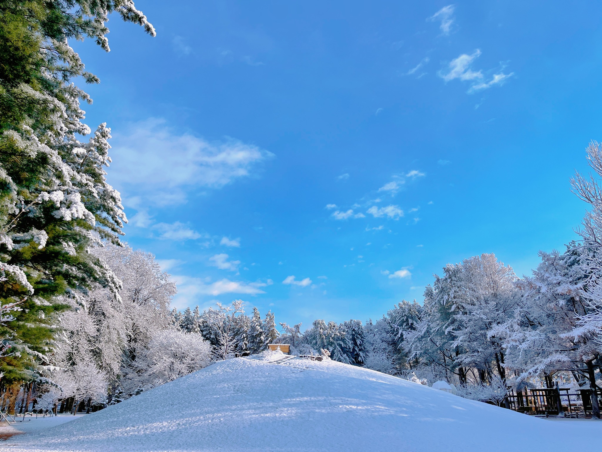這座島嶼是遠離城市喧囂的寧靜之所，非常適合輕鬆的一日遊。