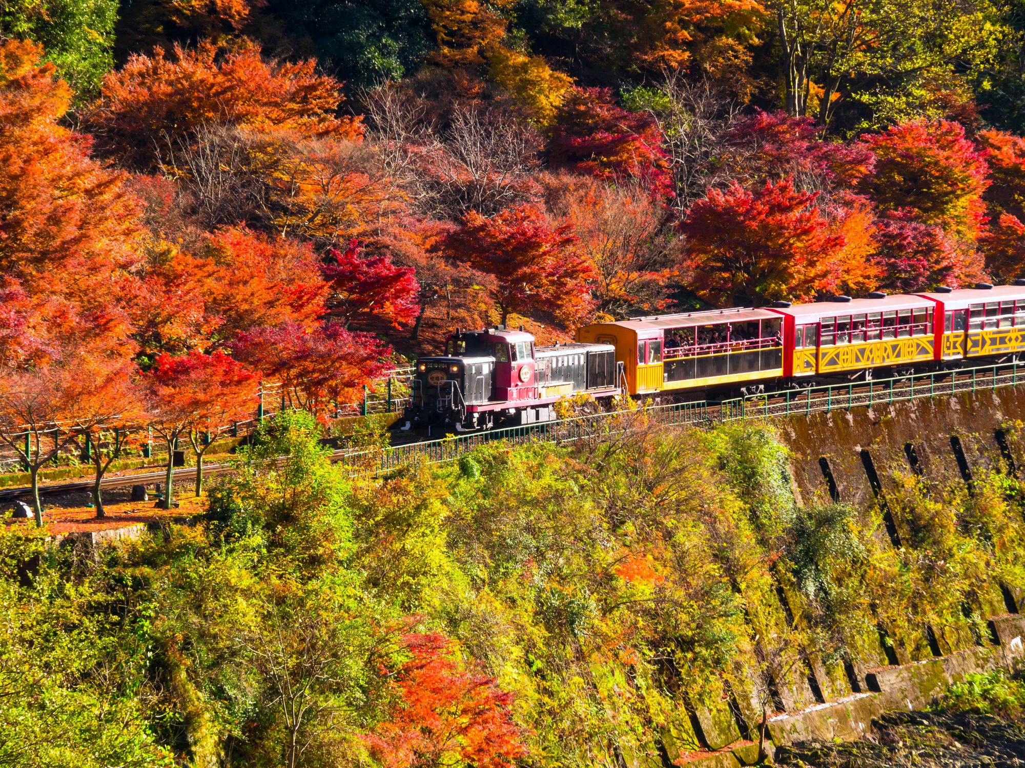 嵯峨野遊覽小火車