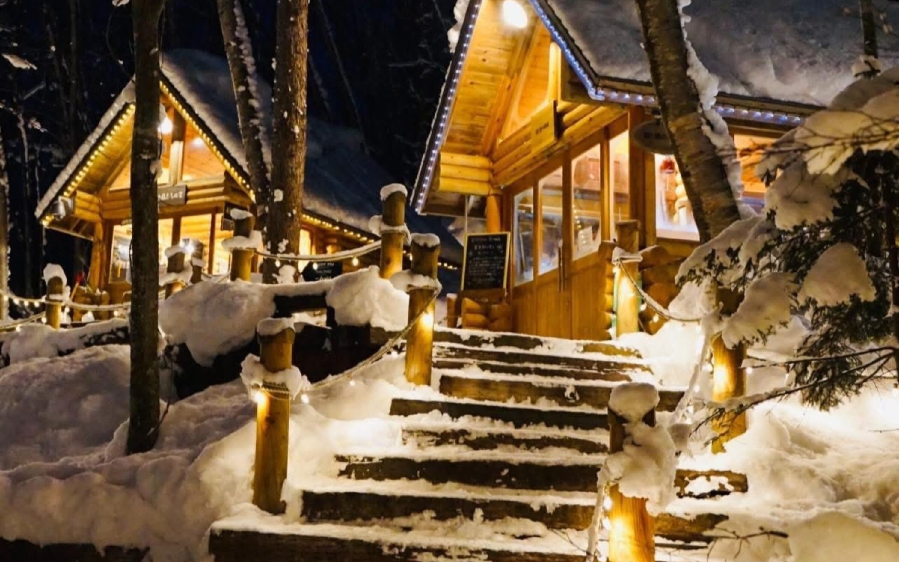 Asahiyama Zoo, Shirahige Falls, Blue Pond, & Ningle Terrace Car Tour