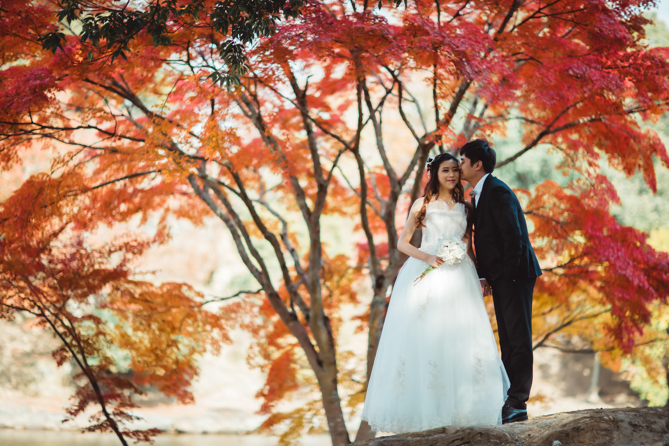 奈良公園 - 廣闊的公園,有自由漫步的鹿群,並可欣賞東大寺的景色,提供有趣且標誌性的畫面。 奈良公園 - 廣闊的公園,有自由漫步的鹿群,並可欣賞東大寺的景色,提供有趣且標誌性的畫面。