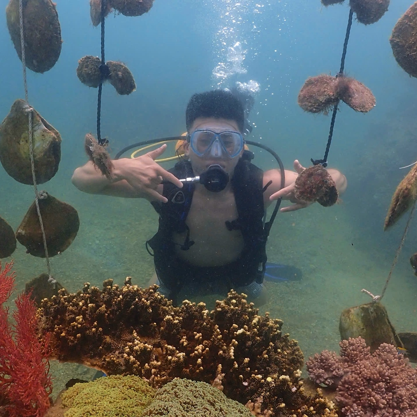 Explore the Underwater World of Pearls in Nha Trang