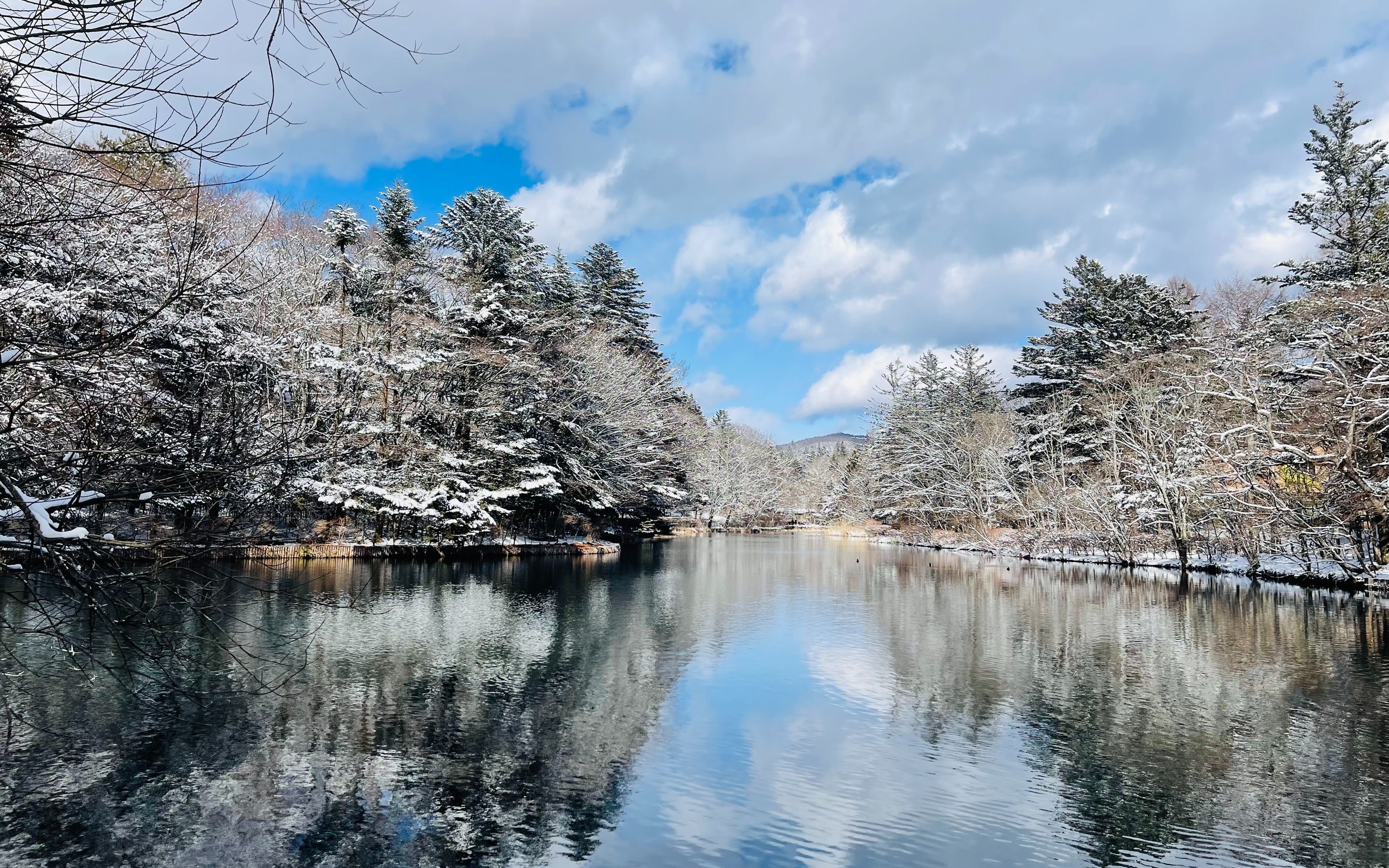 Karuizawa Day Tour｜Shiraito Falls・Kumoba Pond・Old Karuizawa Ginza Street・Karuizawa Outlet｜Depart from Shinjuku