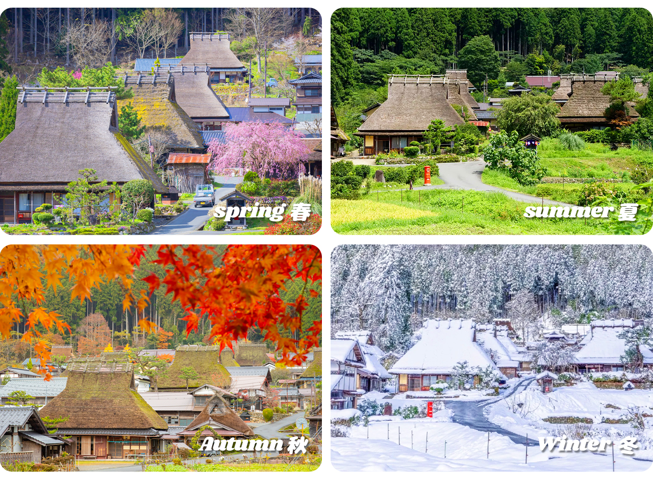 大阪·京都古城風情｜勝尾寺·美山茅葺之裡·嵐山一日遊｜大阪出發