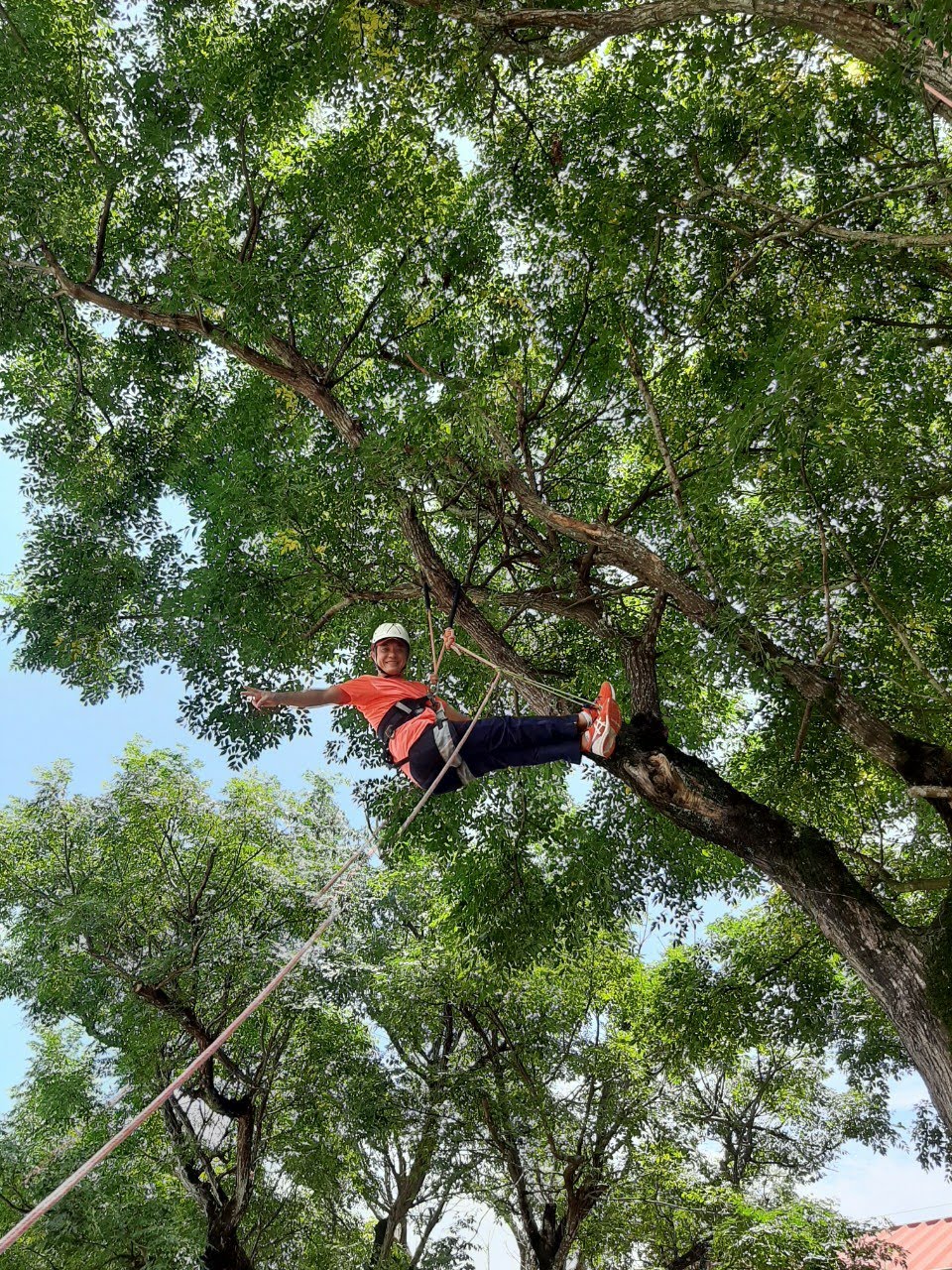 Yilan: Tree Climbing Base | Tree Climbing Experience