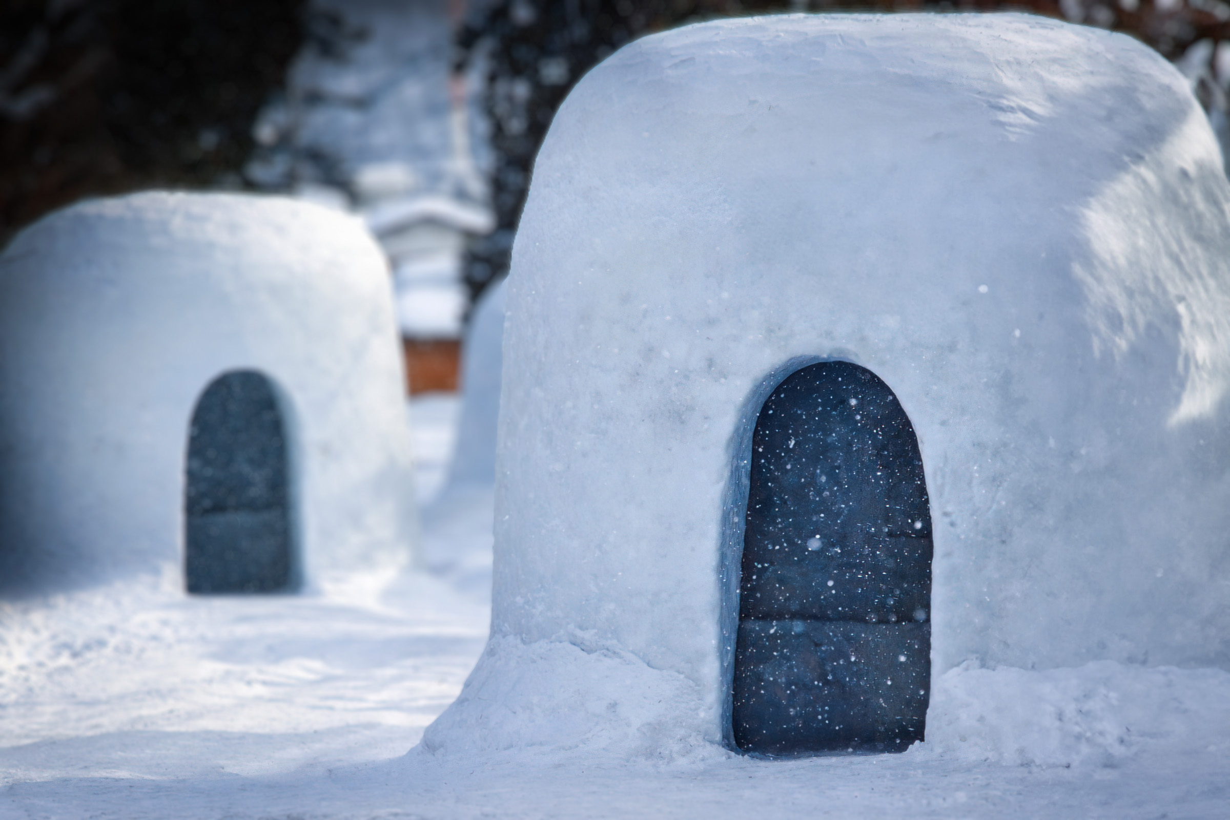 Hachi Kogen Snow Igloo & Snow Play Experience Day Tour from Osaka