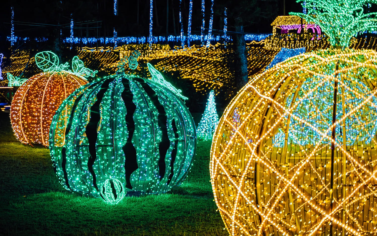 Okinawa : Southeast Botanical Gardens Night Illumination
