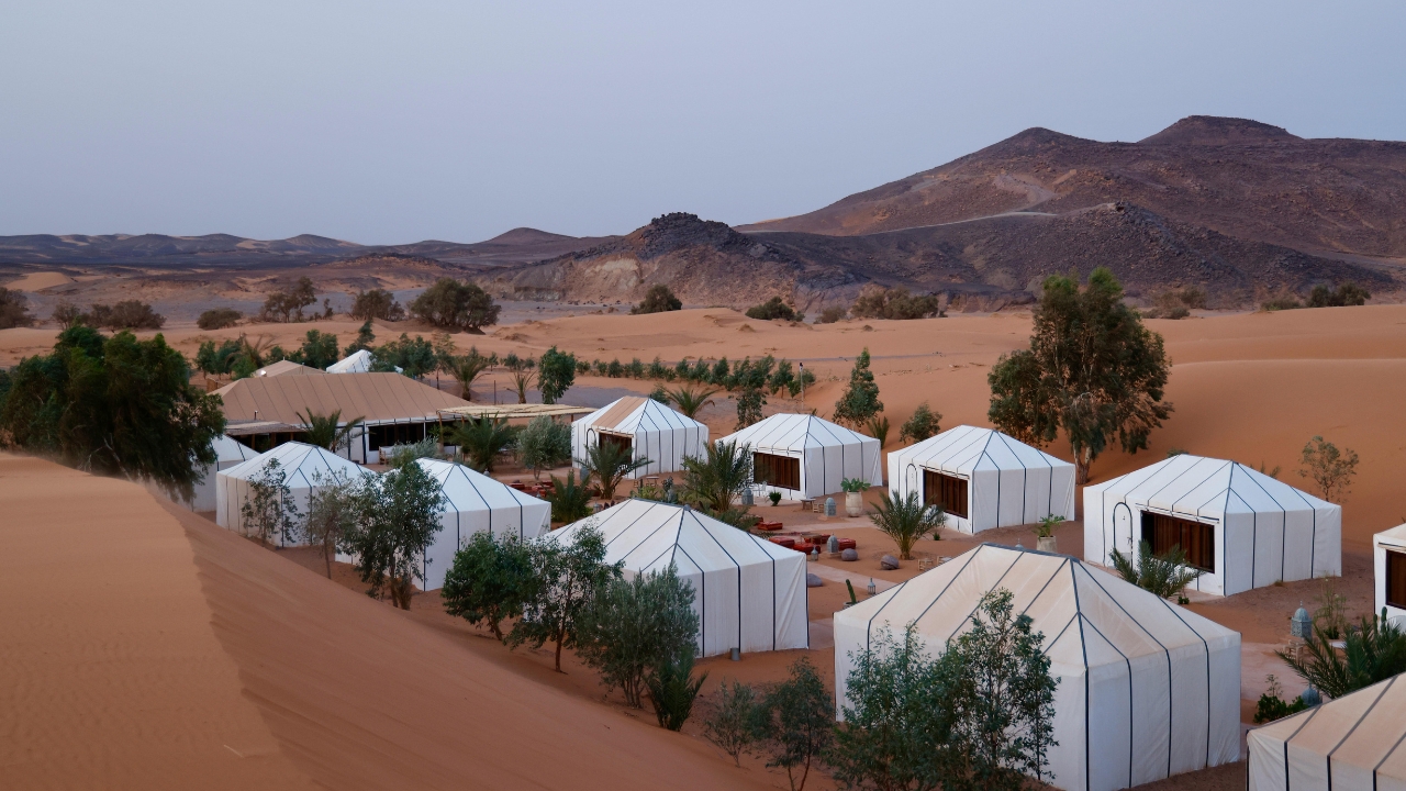 Jaisalmer: 2-Day Thar Desert Experience