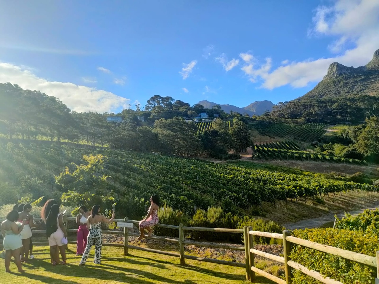 Kanonkop Wine Estate