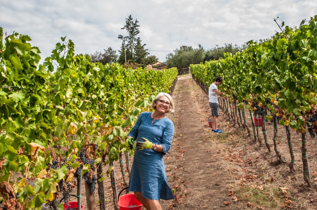 Tuscan Bites & Sips: Discover Tuscany Through Wine