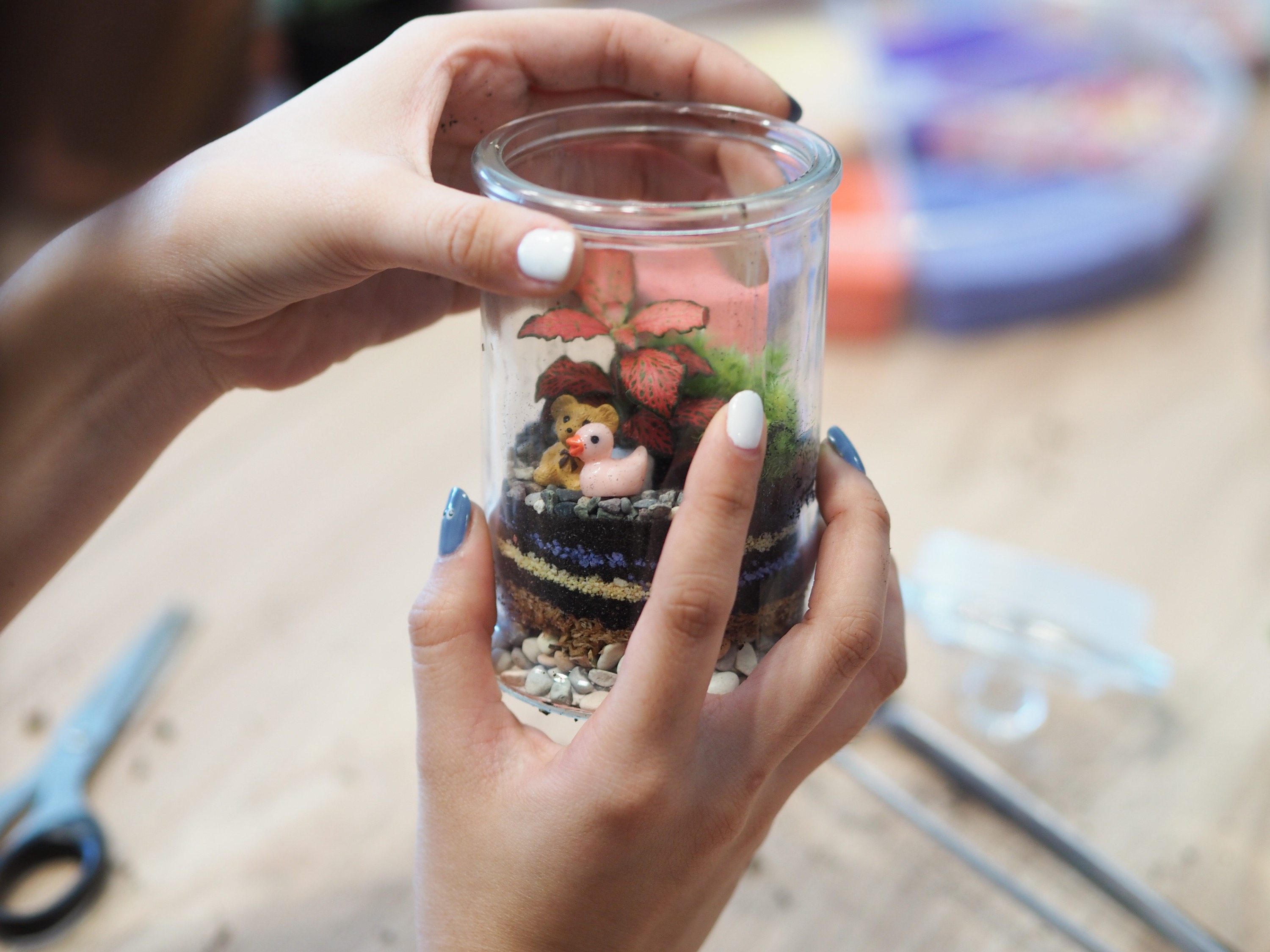 Rainforest Terrarium Workshop in Yishun