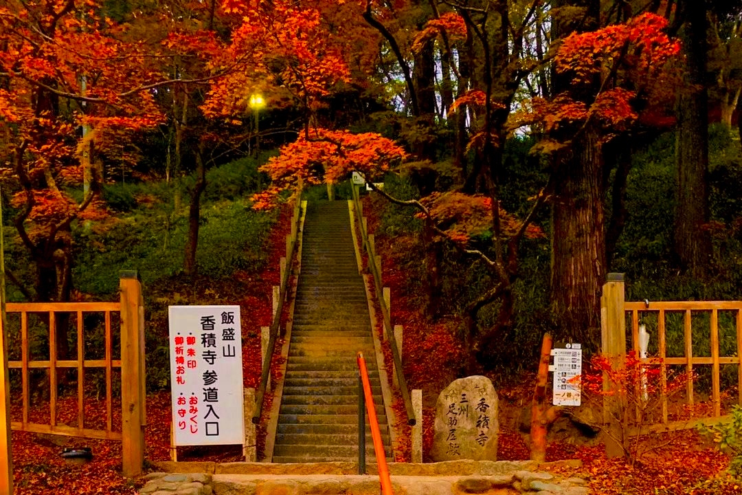 弘誓寺建於1427年，以其標誌性的楓樹而聞名，該楓樹種植於1634年，象徵著秋季魅力的開始