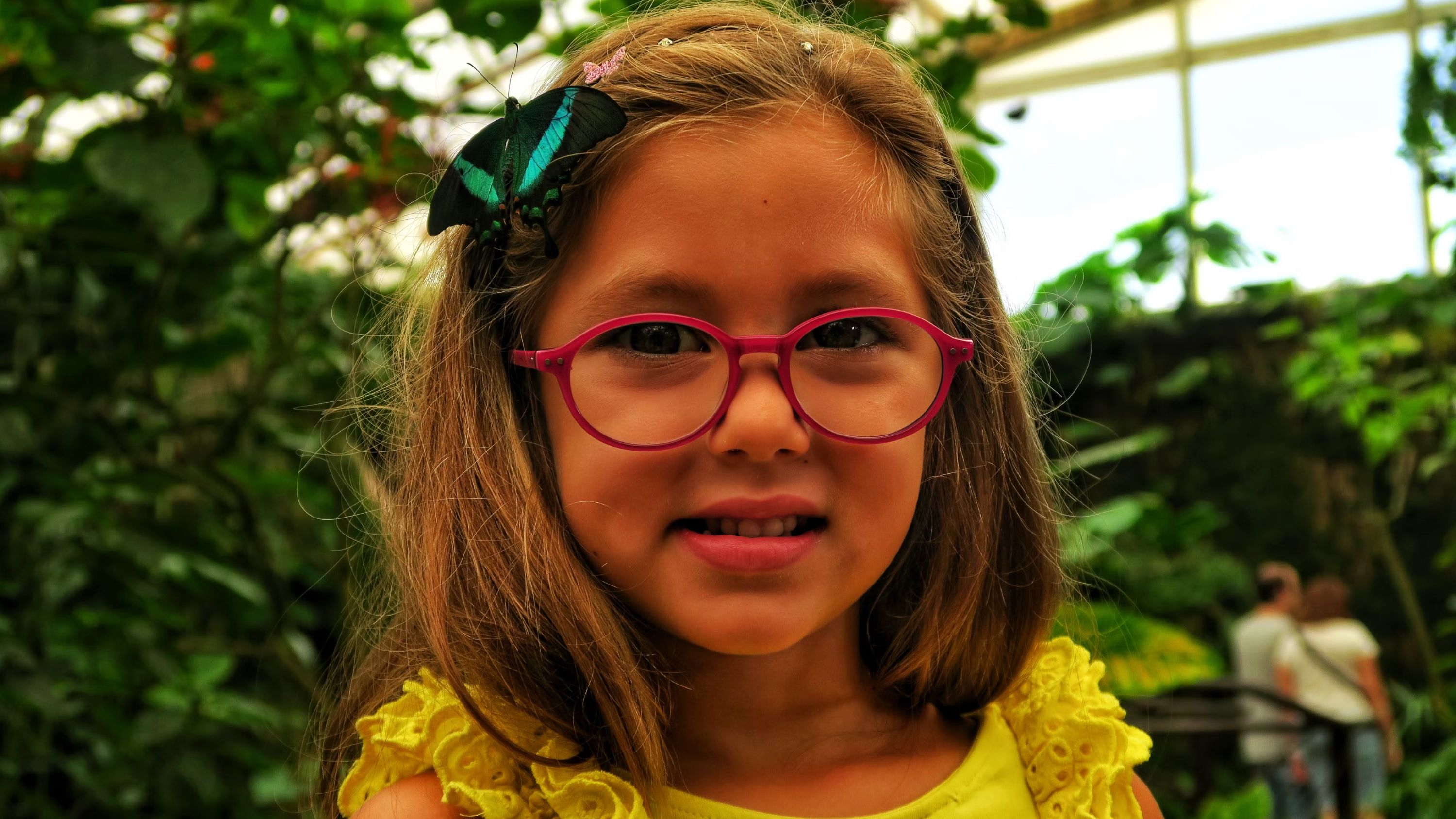 帶上孩子，帶上相機——貝納爾馬德納蝴蝶公園等著您！