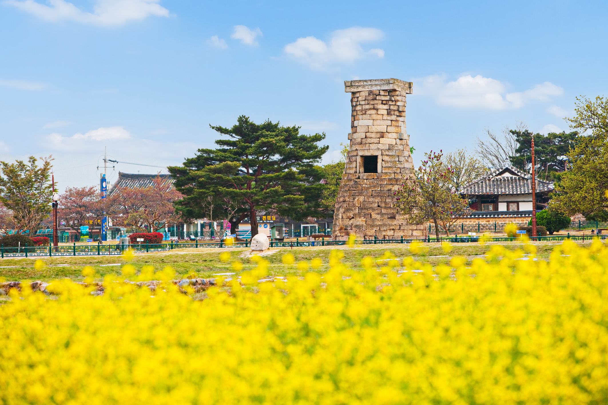 瞻星台被明亮的黃色油菜花環繞。 瞻星台被明亮的黃色油菜花環繞。