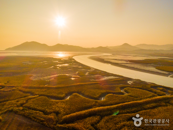 這片溼地擁有多種棲息地，包括鹹水區、鹽沼、大片蘆葦地和潮灘，因此吸引了200多種鳥類。其中36種被全球公認為瀕危物種。