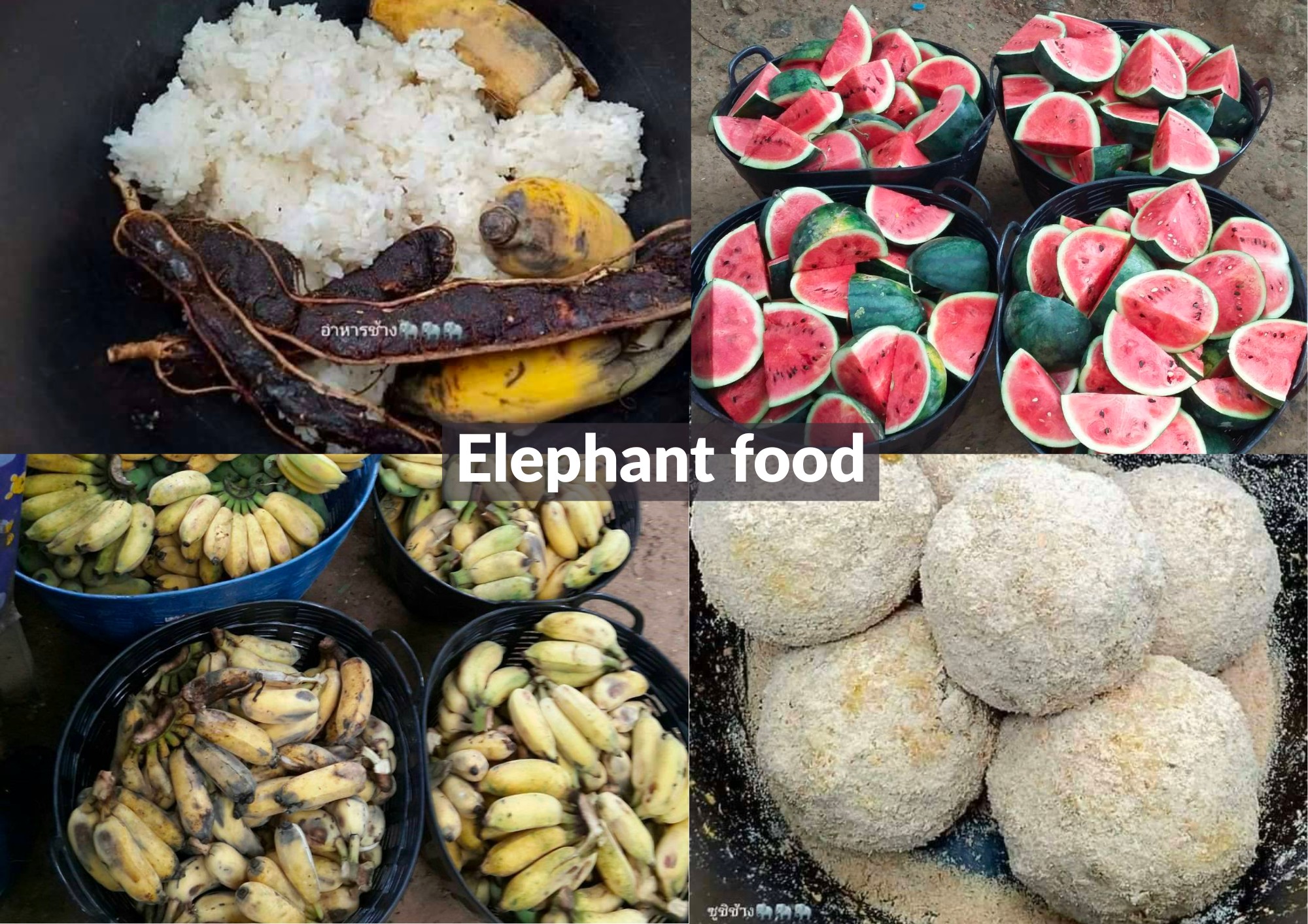 Full Day Kanchanaburi with Erawan & Elephant from Bangkok