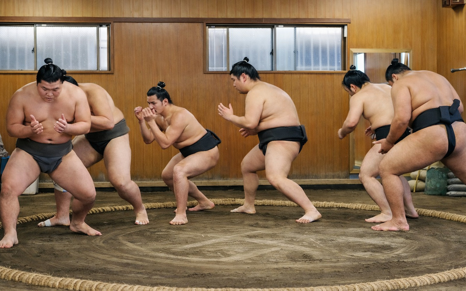 Tokyo Sumo Morning Training Observation Experience