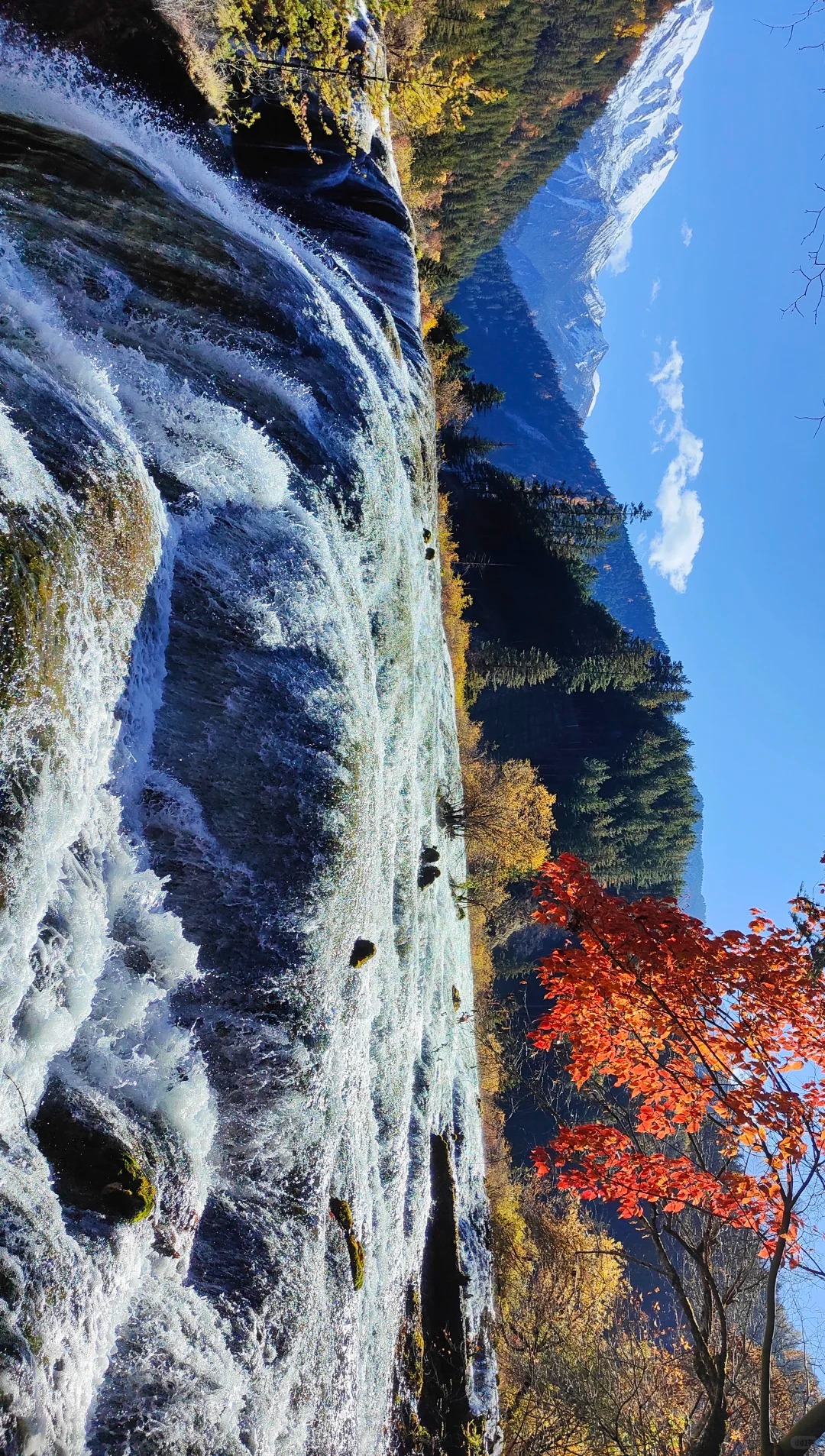 九寨溝景區以 “九寨歸來不看水” 而聞名