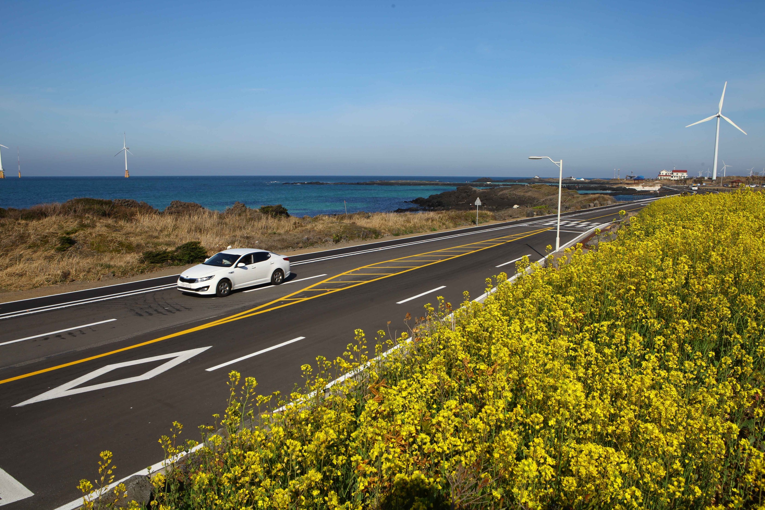 濟州島（Jeju Island）專業司機包車遊（10 小時）