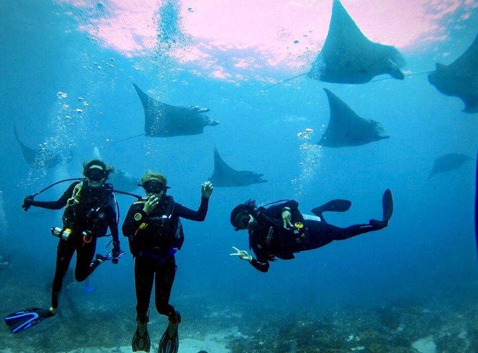 Nusa Lembongan Dive Journey: Open Water Course with PADI 5* Center