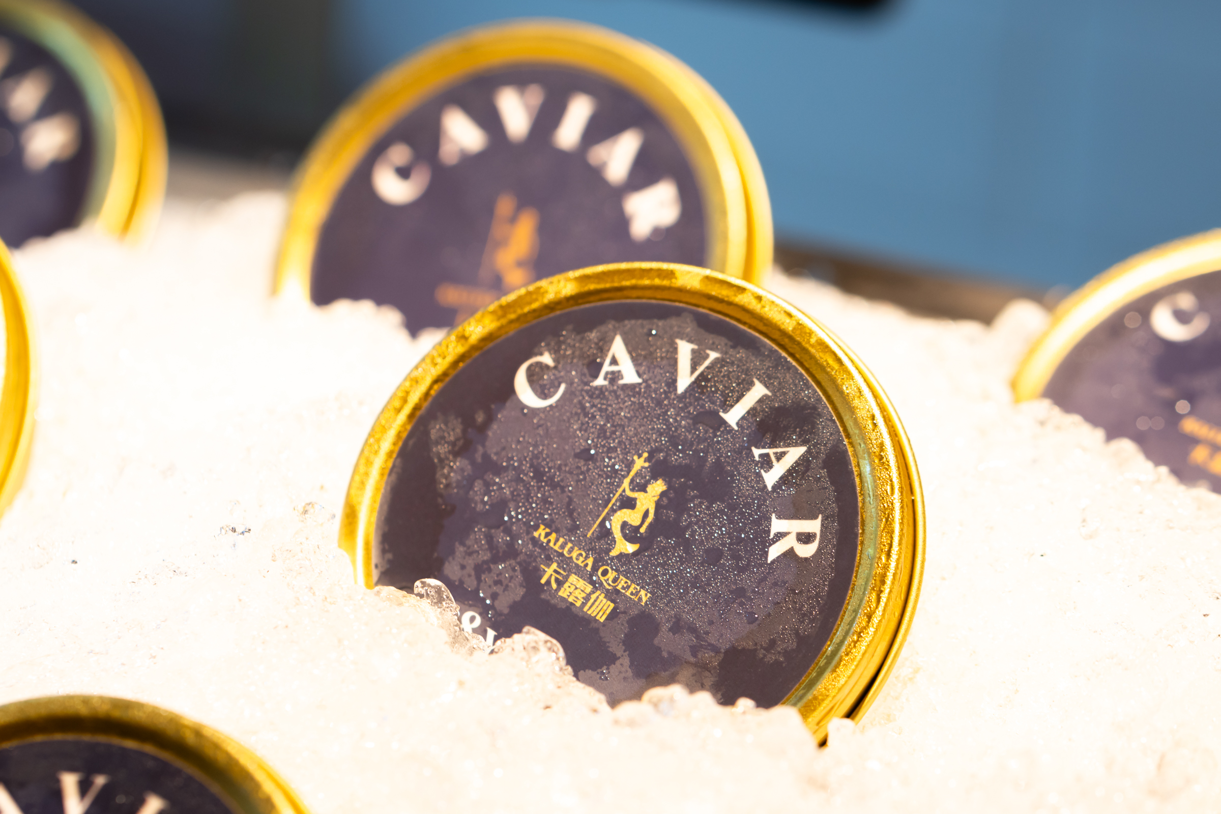 聖誕主題參考圖片