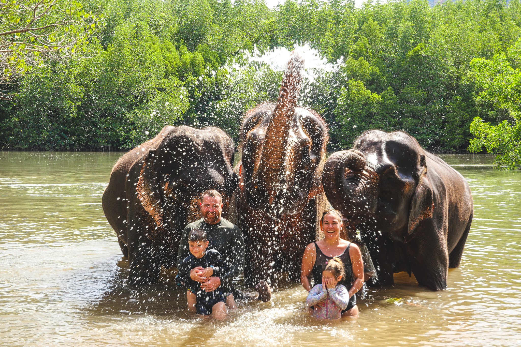 甲米大象保護區（Krabi Elephant Shelter）體驗